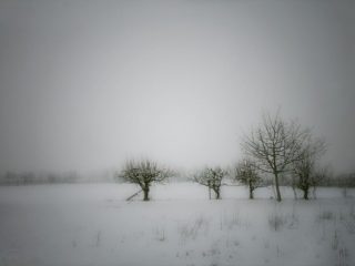 :: In The Silent Of The Glade