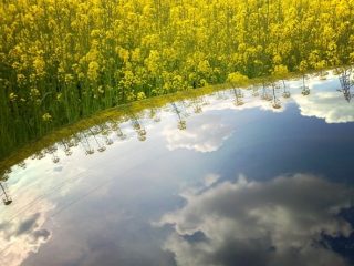 :: From where do you see the world? ::