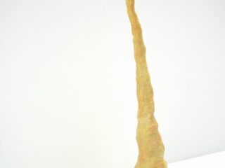 Unite.Reborn/ I want to carry myself to the pinnacle
2009
rabbit fur, resin, plaster
approx: 250cmx100x70