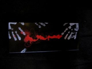   "Contact"
    cm20x50
acrilico su tela 


