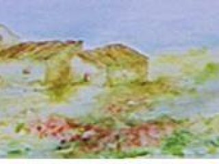 Dalla terra al cielo.
Olio su tela (20x50)