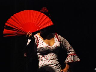 Ballerina di flamenco Spagna