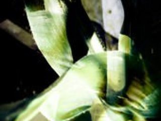 The nature of the abstract image.