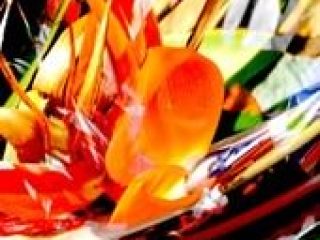 It is about the abstract image and the figural reality that is depicted.