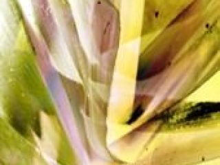 It is about the abstract image and the figural reality that is depicted.