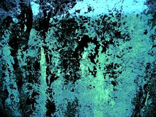 Menta