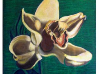 \" Orchidea \", 2009, olio su tela, 60 x 60 cm.