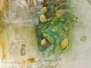 limone 150x100cm.