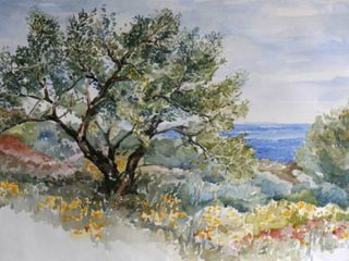 I nostri artisti - Sara Stavla - ulivi