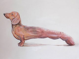 \"Candito\". Anno 2015. Acrilico su tela. cm  25 X 45