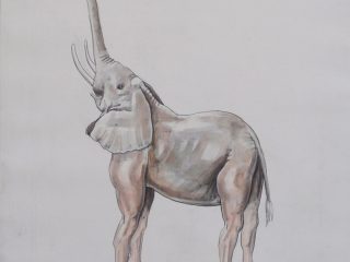 \"Ellephanto  pedeis\".  acrilico su tela 2011 cm 40 x 50 