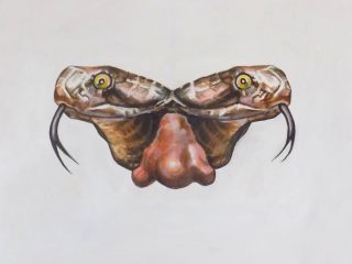 ANGUIS NASUS . Anno 2018, Acrilico su tela su tavola.  cm 50 x 60