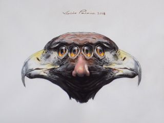 2018 Aquila  gemini nasus nr 0 . Anno 2018.