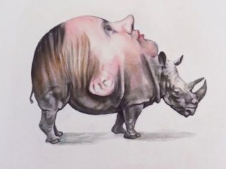 Rinoceros puellae nr 0.  Anno 2018, acrilico su tela. cm 40 x 65 .
