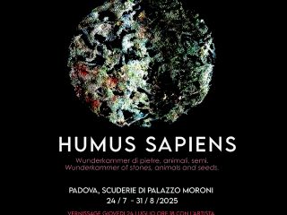 Humus Sapiens: wunderkammer di semi, piante e animali.