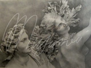 "Apollo e Dafne", matita su cartoncino, 150x120, 2006