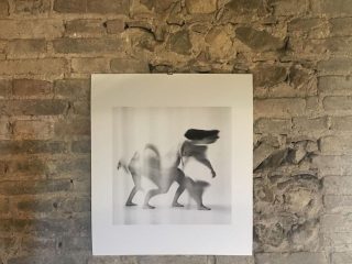 Alberto Petrò -late time light line - 2019