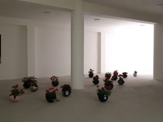 Sabdro Mele - In mezzo ai fuochi