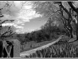 ___________________

Sud della Francia 
___________________

