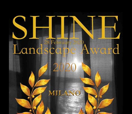 Shine Landscape Award 2020