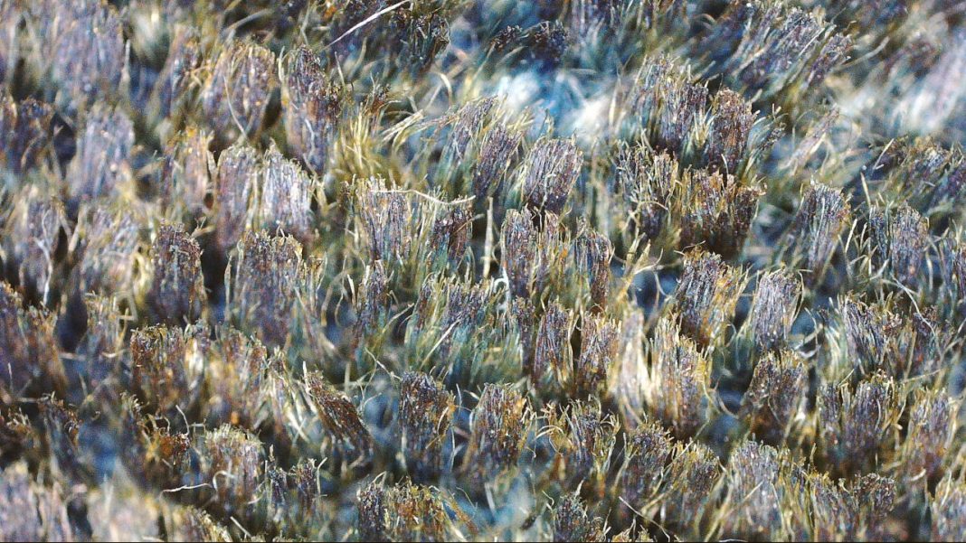 Mariano Fortuny – Deep Velvethttps://www.exibart.com/repository/media/formidable/11/11a-1068x601.jpg