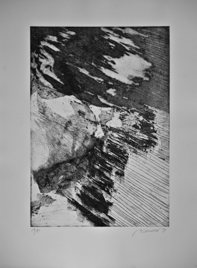 Donatello Laurenti – Incisionihttps://www.exibart.com/repository/media/formidable/11/2_Donatello-Laurenti_Ipergea-carsica_2019.jpg