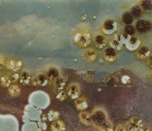 Diana Lelonek – Buona Fortuna Diana Lelonek – Buona Fortuna