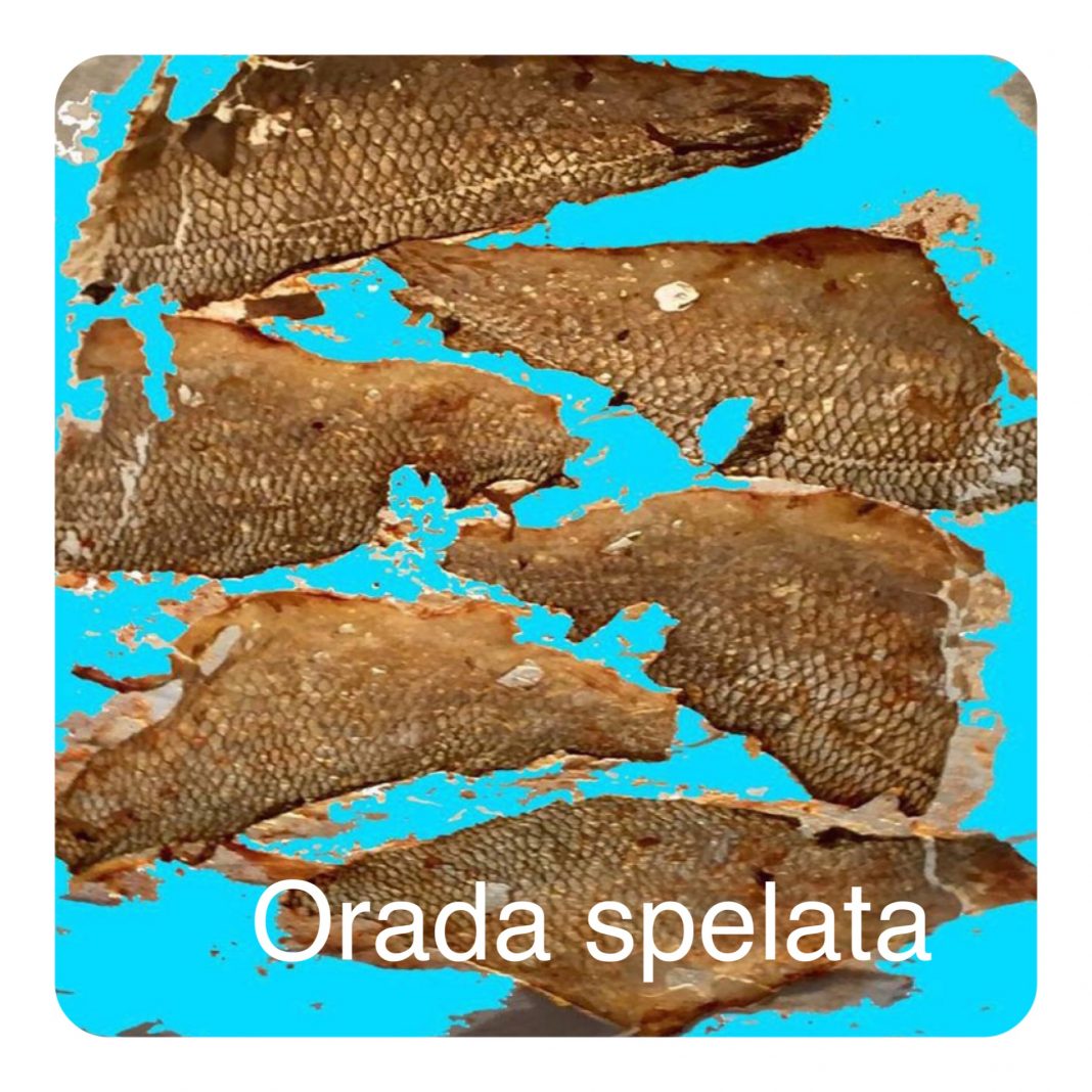 Gastone Bianchi – Nutrire l’animahttps://www.exibart.com/repository/media/formidable/11/4496FD3F-A065-4B7D-95A5-24993839344B-1068x1068.jpeg