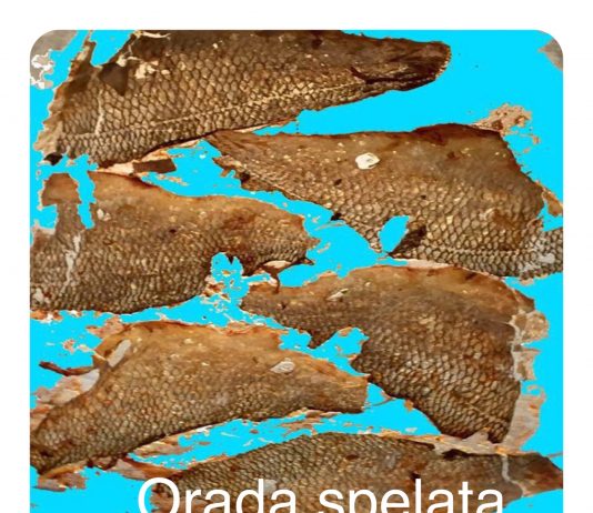 Gastone Bianchi – Nutrire l’anima