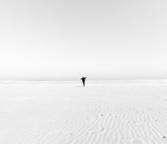 Nicholas Viviani – The human path Nicholas Viviani – The human path