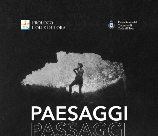 Paesaggi / Passaggi. I sentieri ritrovati nelle fotografie di Aroldo Marchetti