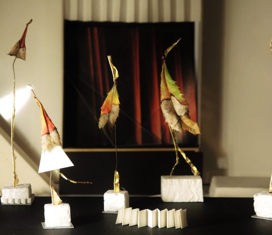 I Teatrini di Paola Neri