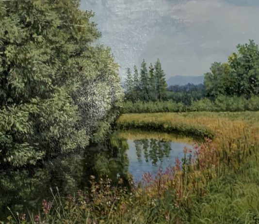 Pino Razza – Dal paesaggio alle emozioni