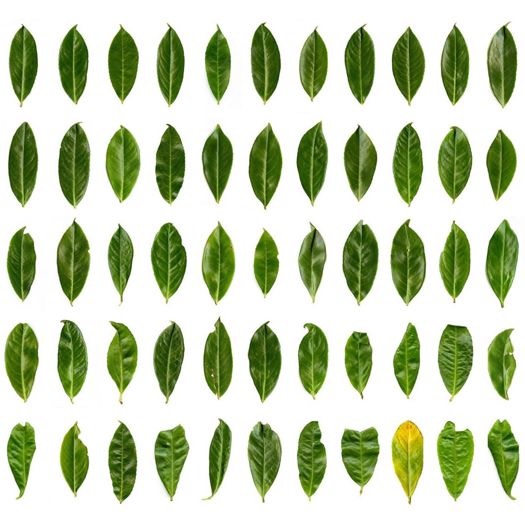 Blurring the Lines. Photography International Conferencehttps://www.exibart.com/repository/media/formidable/11/Brochure_Blurringthelines_Venice2.1-1068x1068.jpg