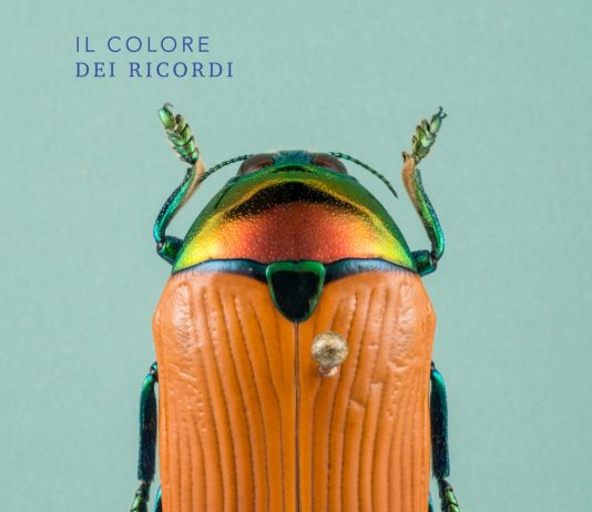 Luca Casonato / Salvatore Palazzo – Il Colore dei Ricordi