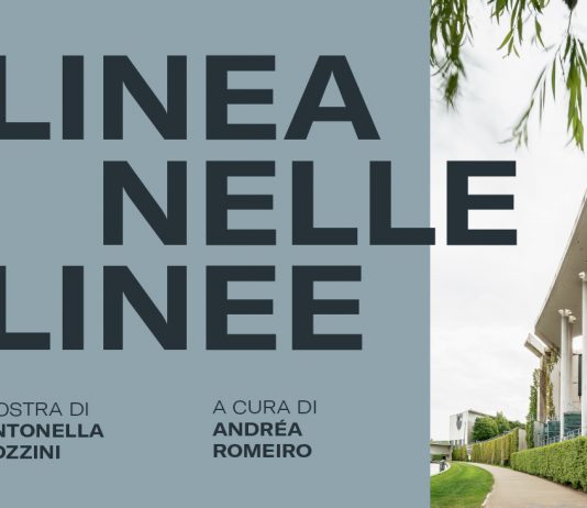 Antonella Bozzini – Linea nelle Linee