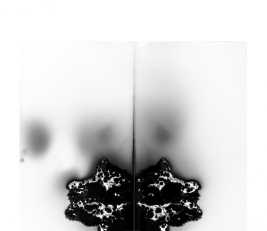 Elia Cantori – Shadow in process