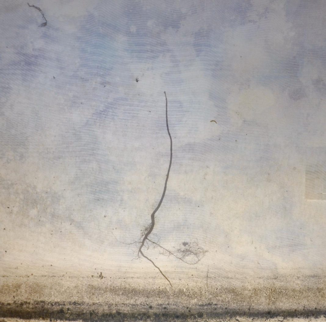 Roberto Ghezzi – Naturografie: un dialogo tra Arte, Natura e Uomohttps://www.exibart.com/repository/media/formidable/11/IMG-20200805-WA0003-1068x1055.jpg