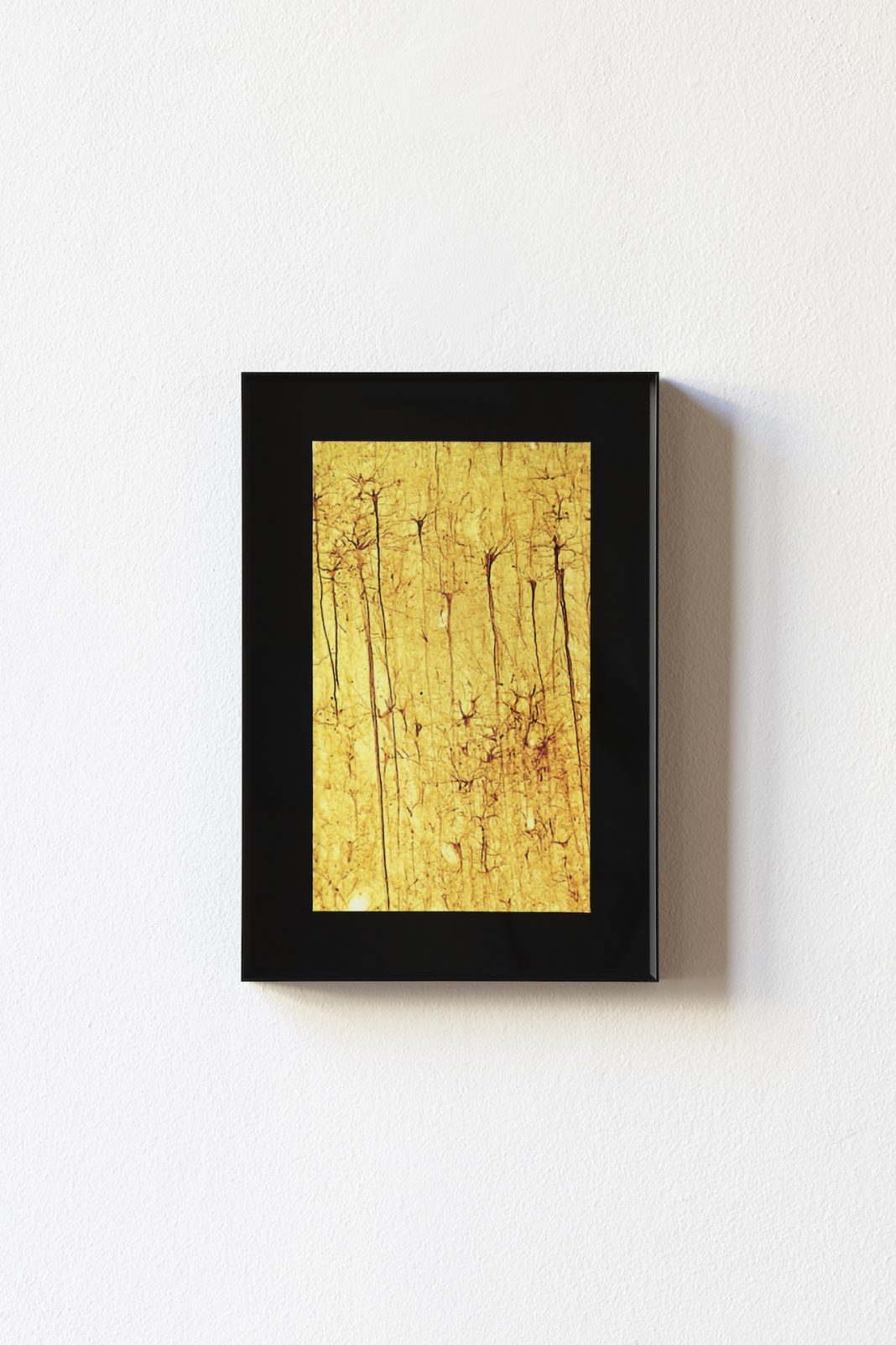 Francesca Matarazzo – Losthttps://www.exibart.com/repository/media/formidable/11/IMG_4682-1068x1602.jpg