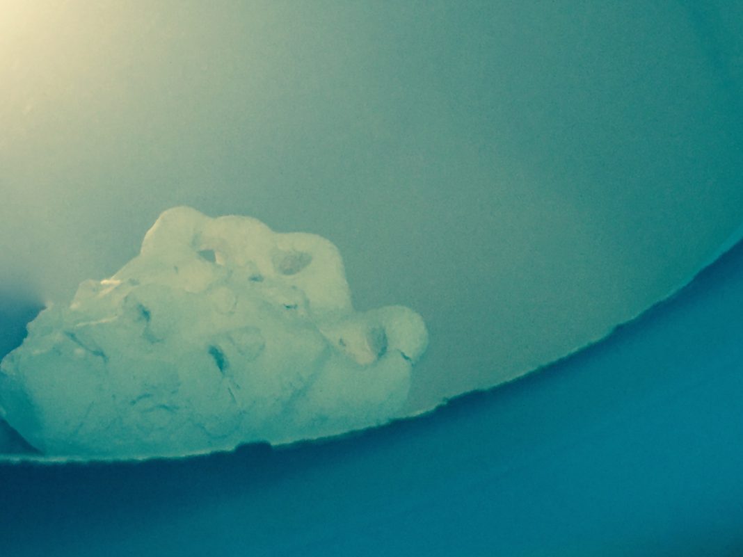 Neil Davenport / Paolo De Piccoli – Acqua, Lago, Pesce (Uomo)https://www.exibart.com/repository/media/formidable/11/IMG_5290-2-1068x801.jpg