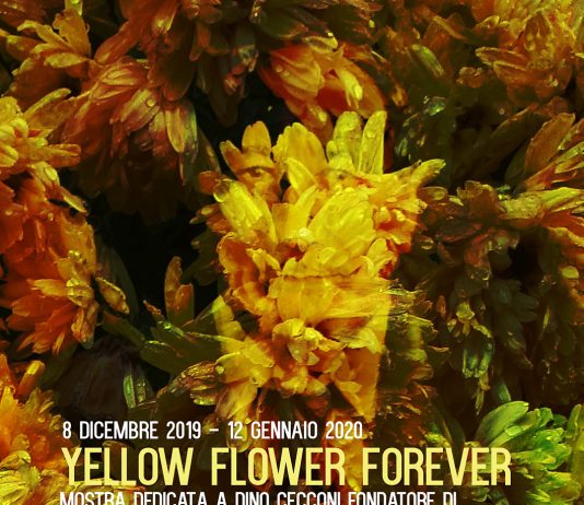 Yellow flower forever