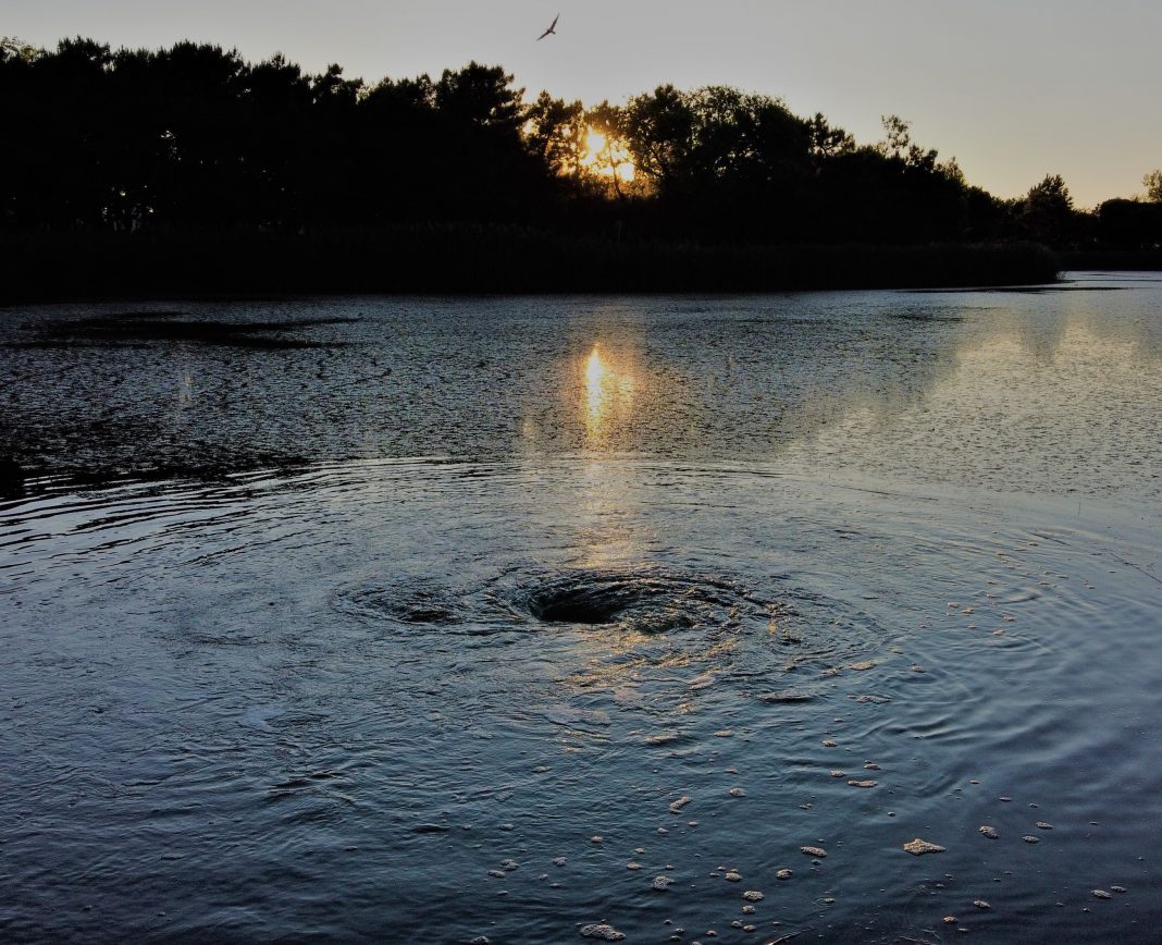 Officinadue – Il Grande Orecchiohttps://www.exibart.com/repository/media/formidable/11/Il_Grande_Orecchio_Officinadidue3-1-1068x868.jpg