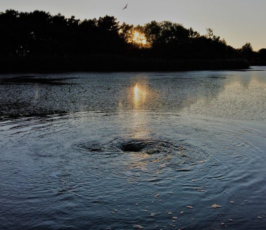 Officinadue – Il Grande Orecchio