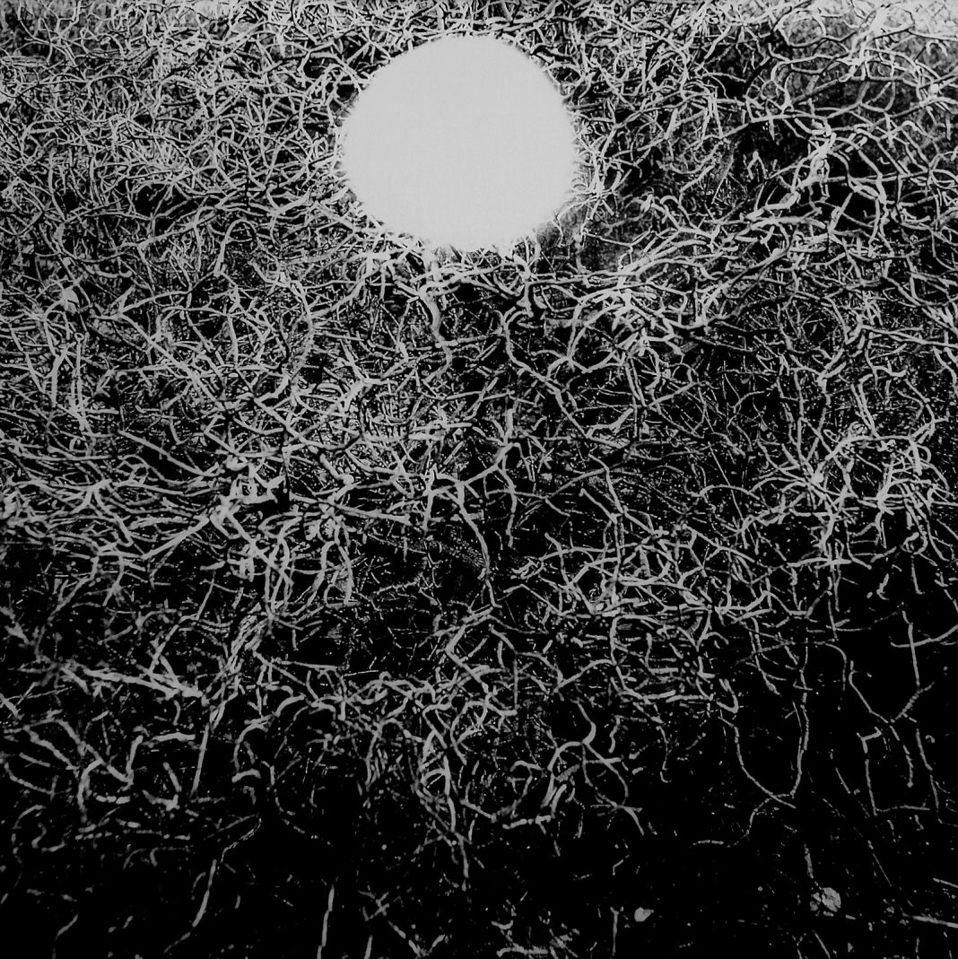 Giacomo De Carolis – Incorporeahttps://www.exibart.com/repository/media/formidable/11/Incorporea-VI-–-26-x-26-cm-–-Tiratura-di-15-–-Hasselblad-500-CM-–-2018-3-1068x1069.jpg