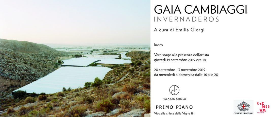 Gaia Cambiaggi – Invernaderoshttps://www.exibart.com/repository/media/formidable/11/Invito-GC-2-1068x463.jpg