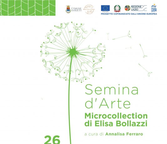 Elisa Bollazzi – Semina d’arte. Un intervento di microcollection Elisa Bollazzi – Semina d’arte. Un intervento di microcollection