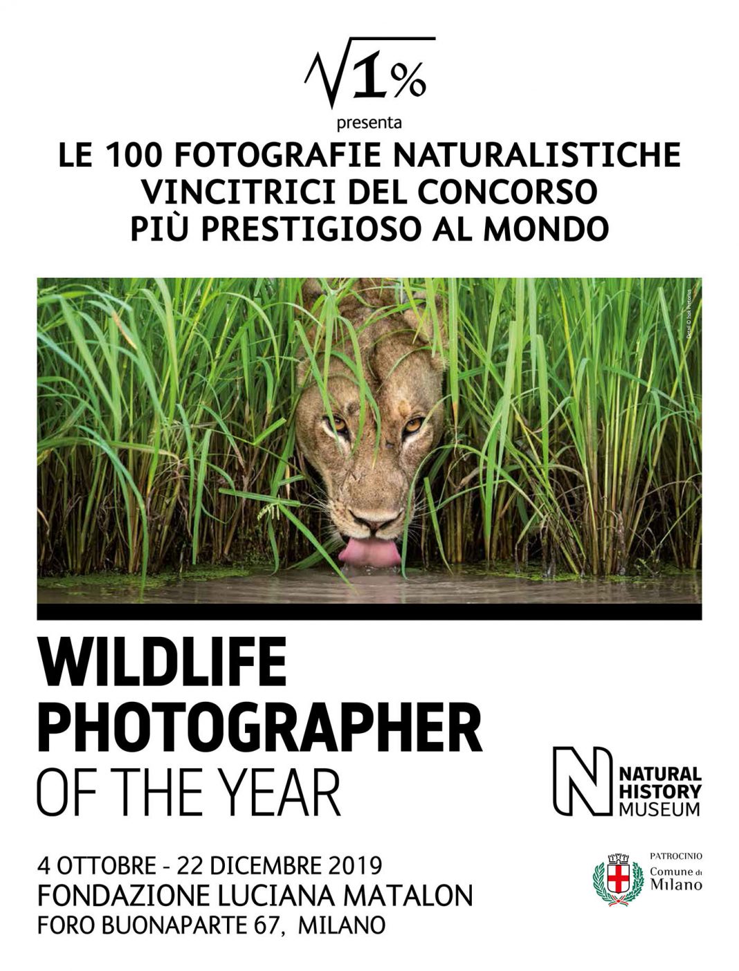 Wildlife Photographer of the Year 54https://www.exibart.com/repository/media/formidable/11/Locandina-WPY-2019-patrocinio-T-1068x1404.jpg