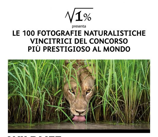 Wildlife Photographer of the Year 54 Wildlife Photographer of the Year 54