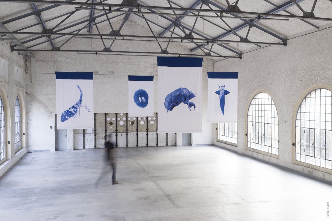 Mali Weil –  Forests | Experimentinghttps://www.exibart.com/repository/media/formidable/11/Mali-Weil_Forests_courtesy-Mali-Weil_01-1068x712.jpg