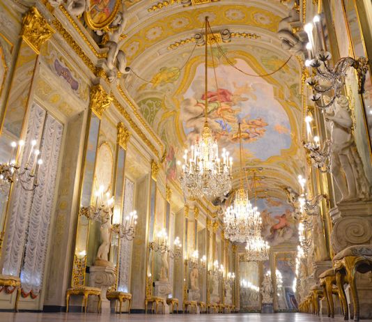 Rolli Experience Rolli Experience